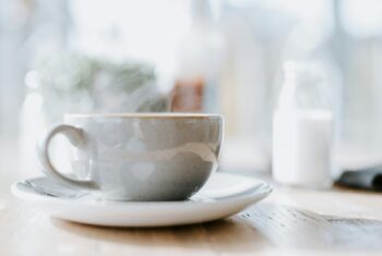 gordon-plant-gXT_9NAexqQ-unsplash